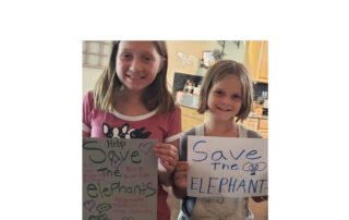 Happy World Elephant Day, children’s drawing, happiness is elephants