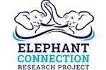 Elephant-connection-logo