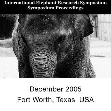 IEF Symposium 2005