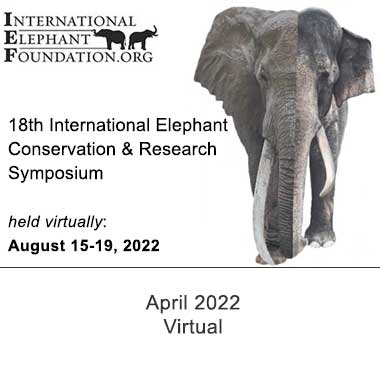 IEF Symposium 2022