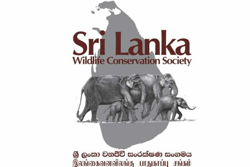 Slwcs Logo Our Partners - International Elephant Foundation
