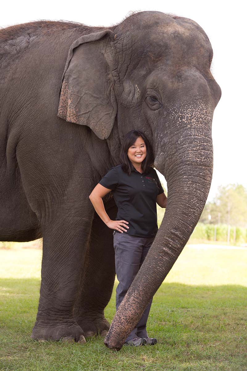 EEHV prevalence in semen samples of Asian and African elephants