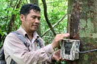 Installing camera trap