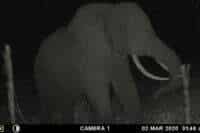 MOULTRIE DIGITAL GAME CAMERA