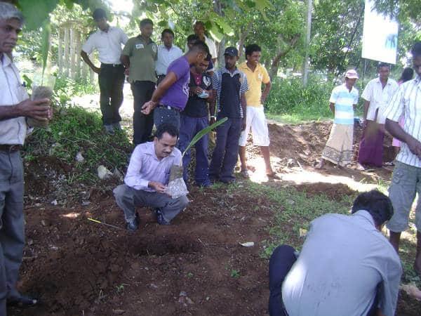 Planting – Udawalawa