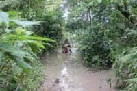 Rainy season field travel