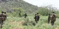 Rangers on Patrol
