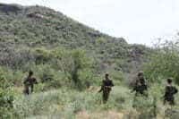 Rangers on patrol 2