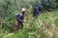 data collection