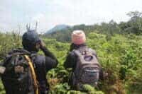 monitoring