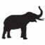 elephantconservation.org-logo
