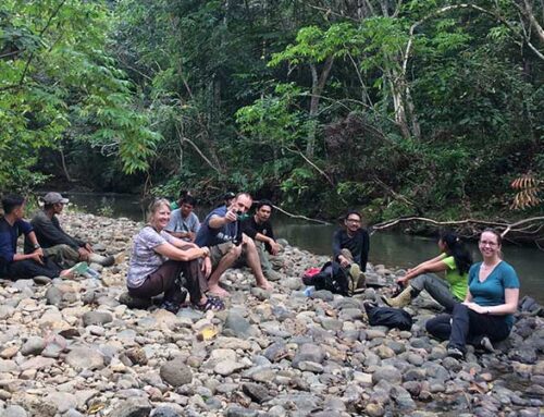 Tales From the Field:  Cravings in the Hutan