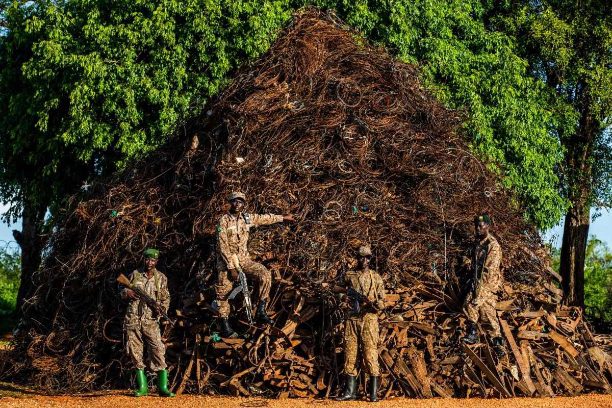 Snare Mountain, Uganda, Elephants, Stop the Snares!, Murchison Falls, poaching,