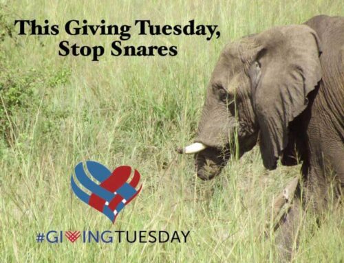 Today is the Day – It’s Giving Tuesday