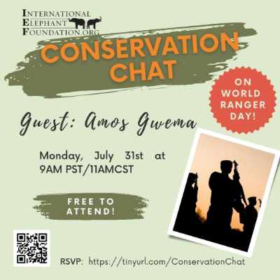 Elephant Conservation Chat