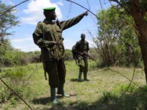 Snare Mountain, Uganda, Elephants, Stop the Snares!, Murchison Falls, poaching,