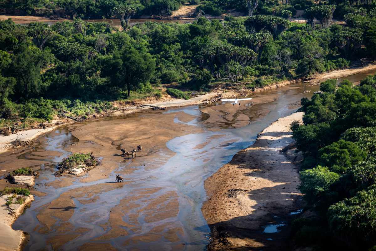 Increased Elephant Security and Monitoring in the Tsavo National